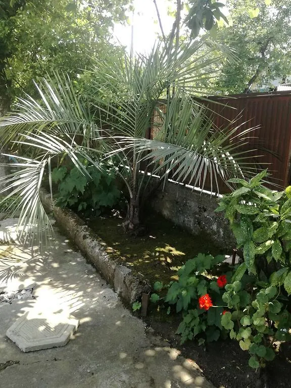 Guest House Makhinjauri Batumi Georgia