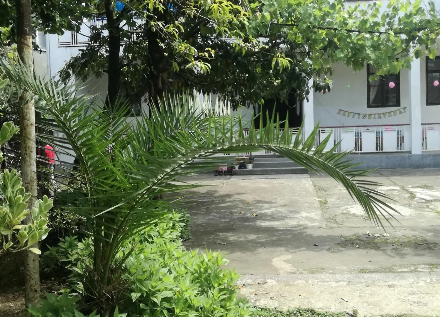 Guest House Makhinjauri Batumi