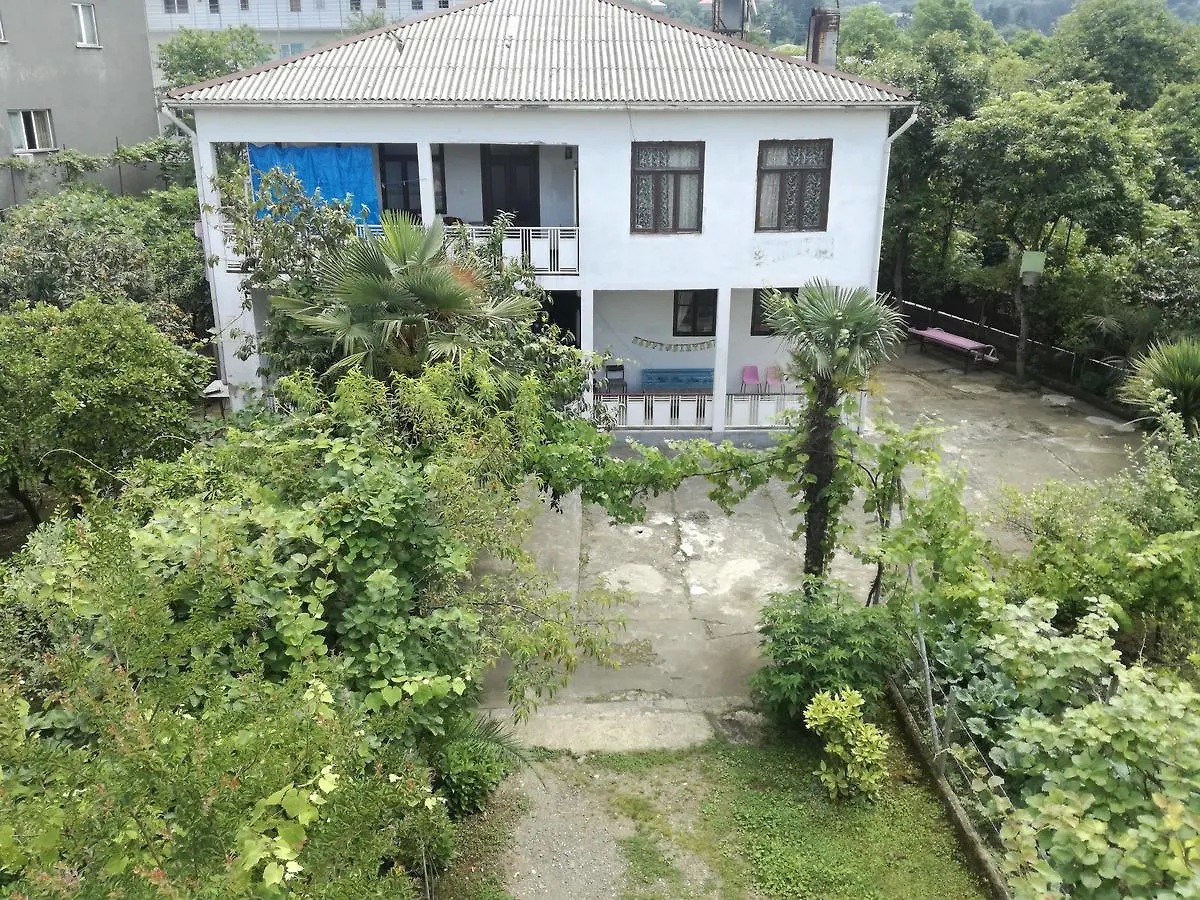 Guest House Makhinjauri Batumi Georgia
