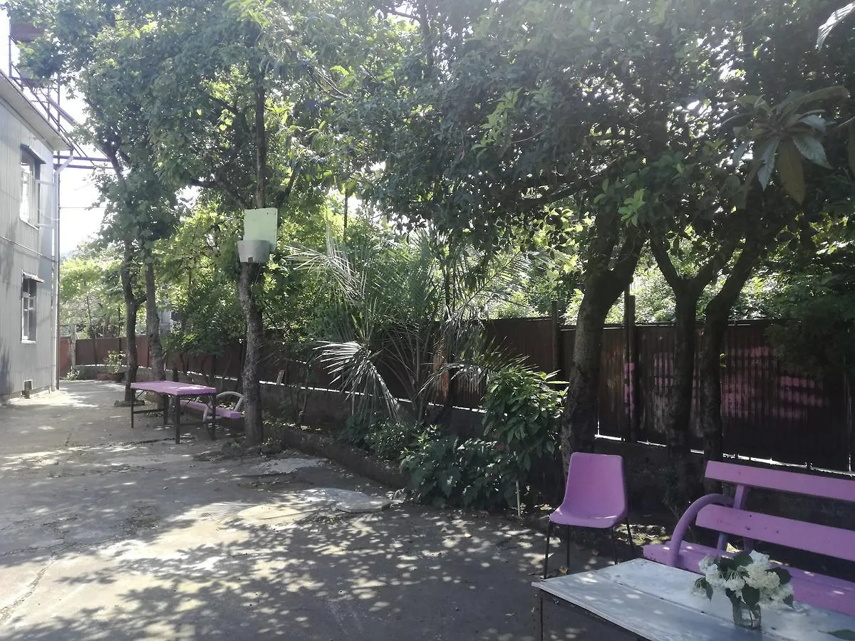 Guest House Makhinjauri Batumi Georgia