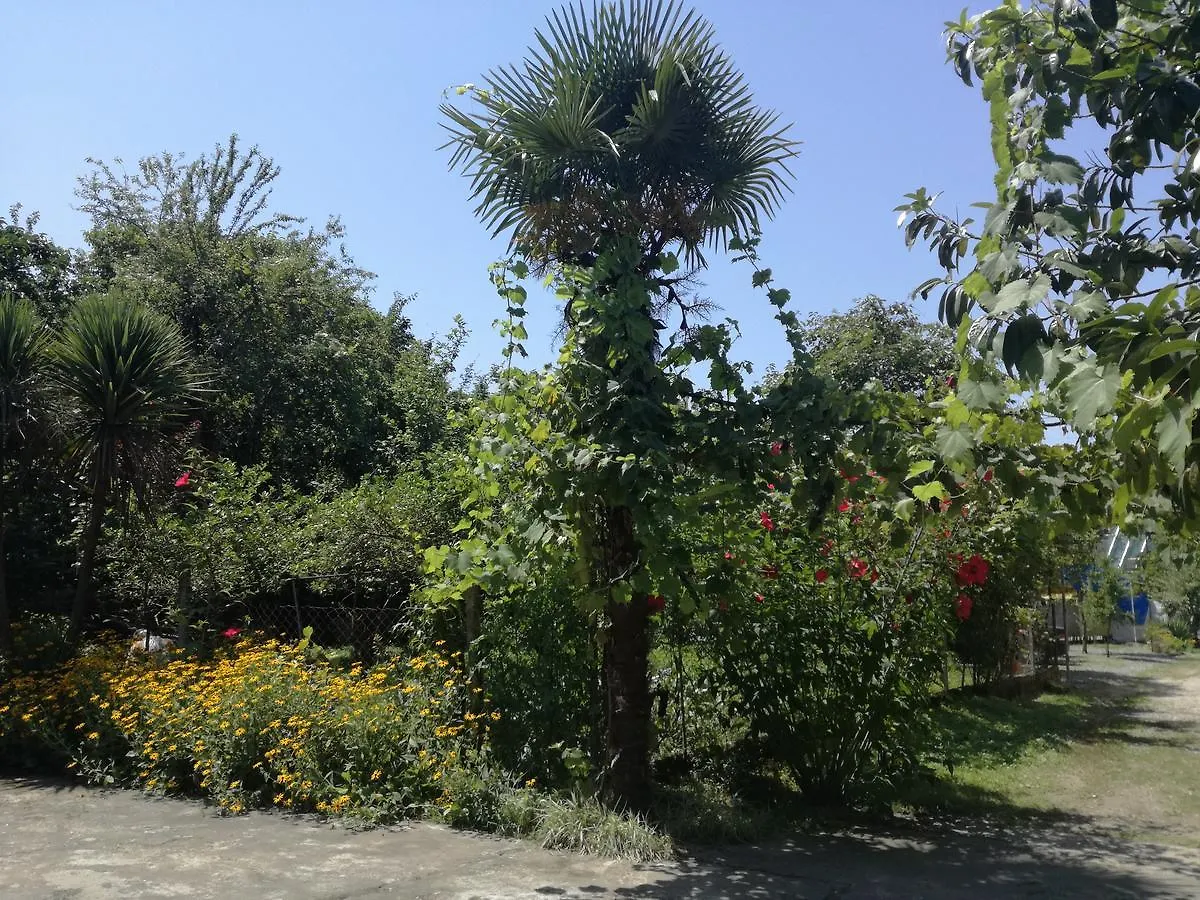 Guest House Makhinjauri Batumi Georgia