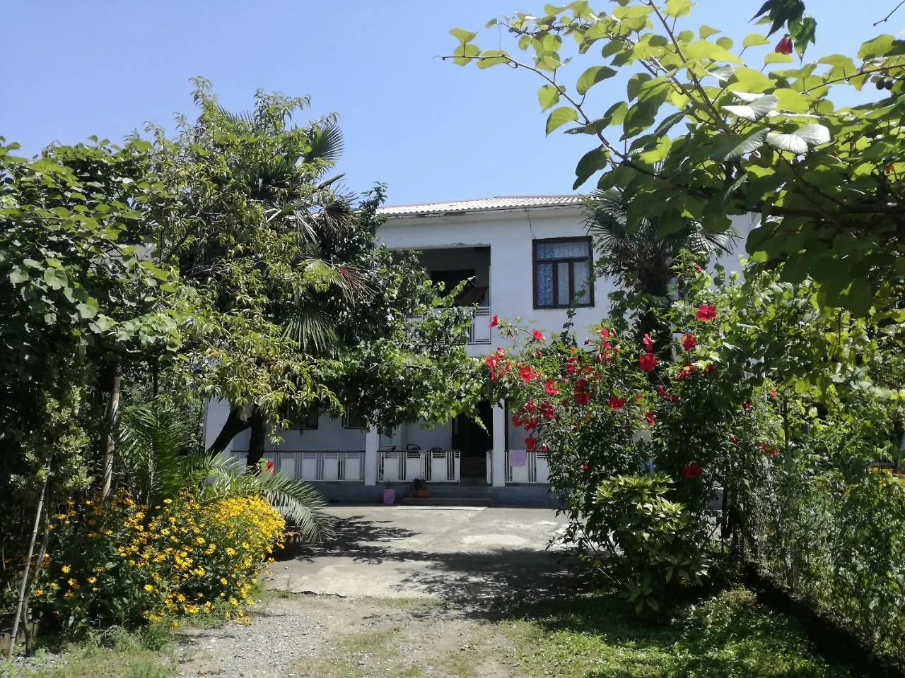 Guest House Makhinjauri Batumi